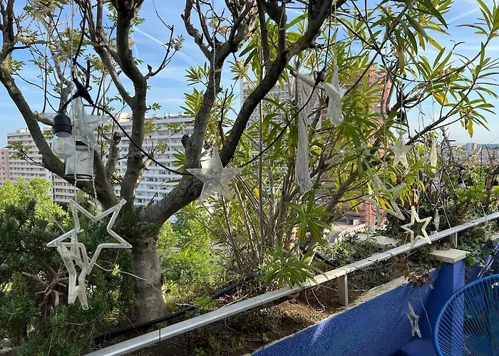 Rooftop Hyper-centre Тулуза